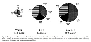 The partition of energy (stress x time) between leg joints for walking, running and sprinting.