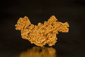 gold_the_dragon